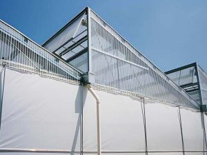 What Is a Sawtooth Greenhouse and How Does It Work? - INSONGREEN